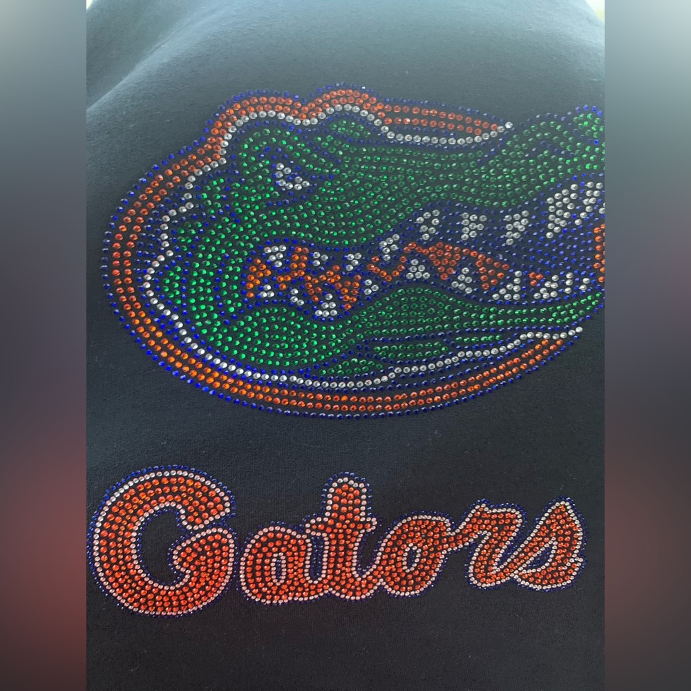 Rhinestone hoodie .. Gators or  Bulldogs .. brand new .. all sizes